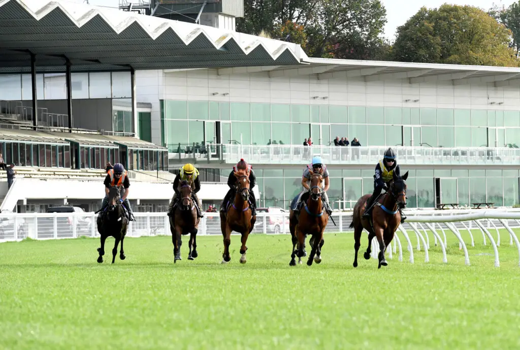 JUMPOUTS - NEW MANAWATU TRACK