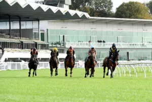 JUMPOUTS - NEW MANAWATU TRACK