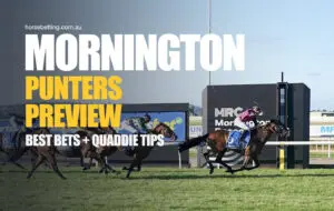 Mornington Punters Preview