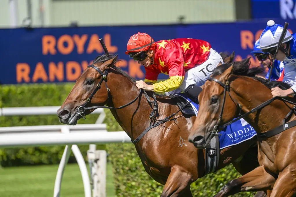 North England Kindergarten Stakes