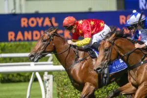 North England Kindergarten Stakes