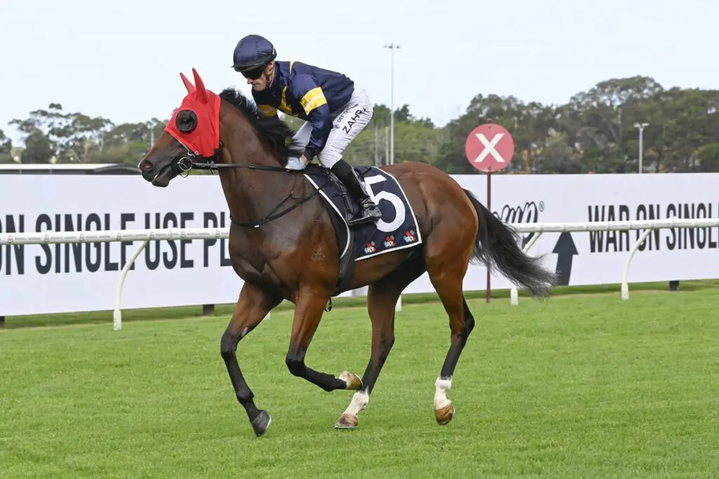 Plymouth - Rosehill Guineas