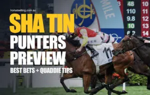 Sha Tin betting tips