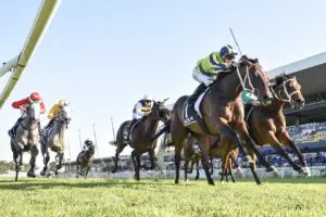 Tancred Stakes Day Replays 2025 Tancred Stakes Day Replays 2025