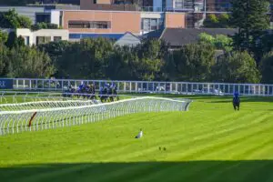The Championships Day 2 Race Replays