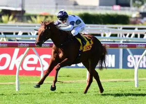 Campaldino Brisbane Cup