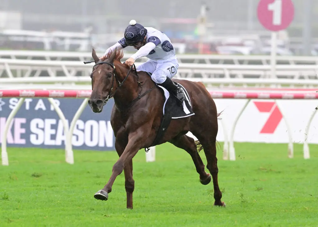 Campaldino Queen Elizabeth II Cup