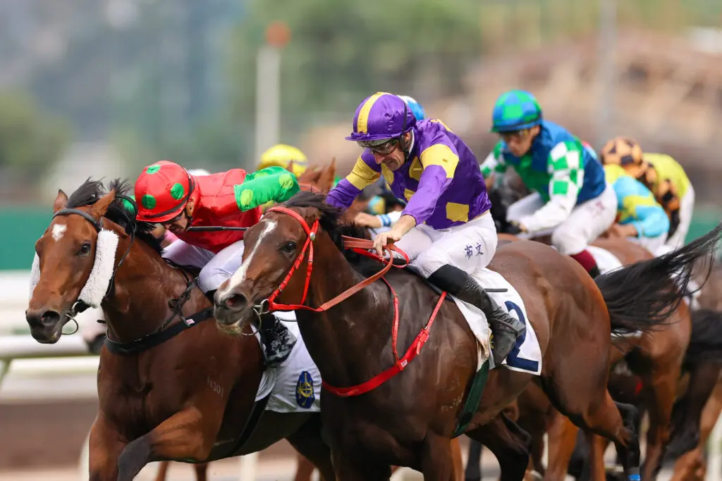Helios Express Sha Tin Vase