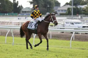 Joliestar Kingsford-Smith Cup