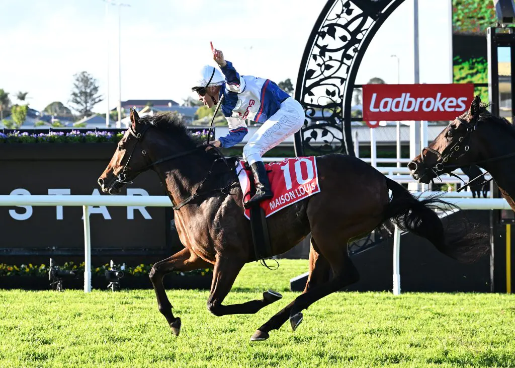 Maison Louis QLD Derby