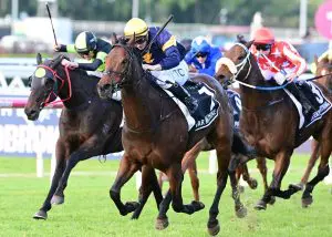 War Machine Stradbroke Handicap