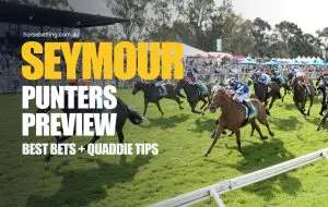 Seymour Punters Preview New