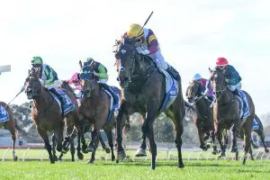 Evaporate wins the Sandown Stakes 2025