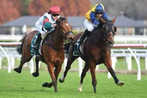 Blue SKy At Night set to return in Matamata Cup