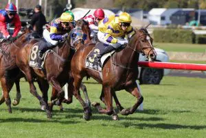 Comedy wins at Trentham on September 21