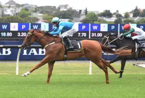 Crocetti returns in trial for Spring campaign