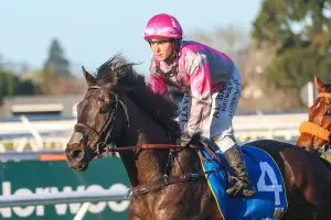 Chase favourite for Metric Mile