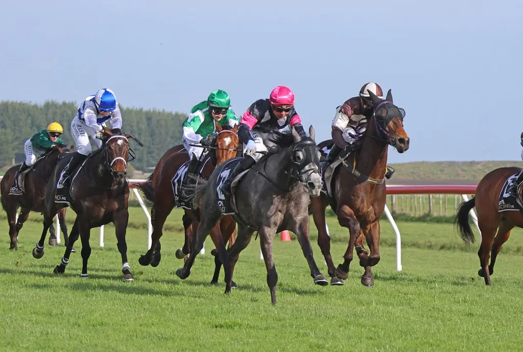 Freebelle wins at Waverley on September 28