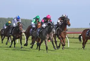 Freebelle wins at Waverley on September 28
