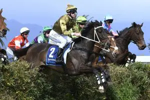 Jesko wins Great New Zealand Steeplechase 2025