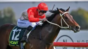 Magic Carpet wins the Hakes Bay Guineas 2025