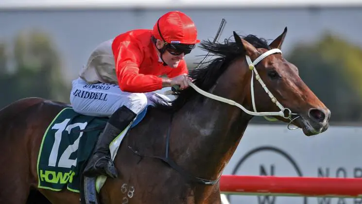 Magic Carpet wins the Hakes Bay Guineas 2025