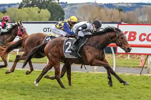 Martel set to race on Sunday