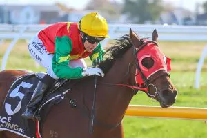 Ocean Light will return to racing on Wednesday