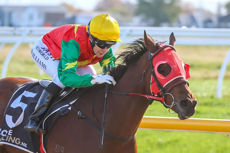 Ocean Light will return to racing on Wednesday