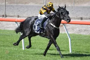 Red Sea set to race in Hong Kong