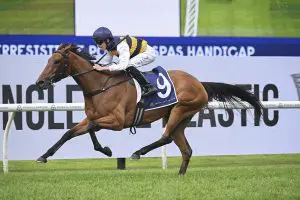 She's Unusual wins at Rosehill on Saturday