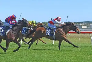 Whangaehu primed for strong return to racing