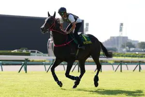 Leung ready for G1 Sprinters Stakes mission in Japan