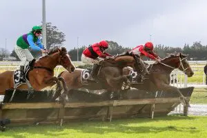Suliman (centre) is a $8.50 shot to win the Great NZ Hurdle on Friday. Photo: Race Images South
