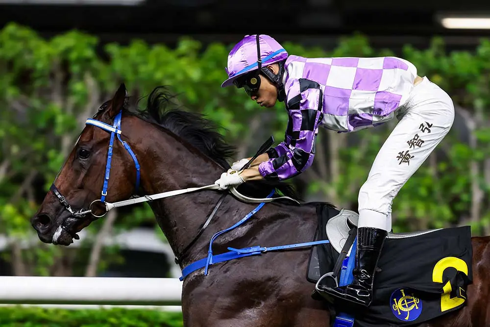 Mighty Commander has already won at Happy Valley this season.