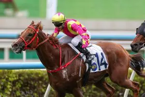 Ruby Sailing salutes for Manfred Man at Sha Tin on Saturday. PIcture: HKJC.