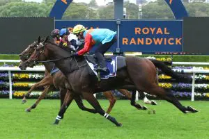 Ka Ying Rising finishes third in barrier trial ahead of the Everest 2025