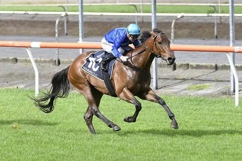 Afterglo wins at Matamata