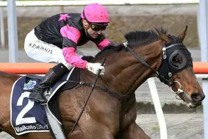 Diamond Jak wins at Matamata on October 4, 2025