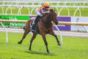 Out Of The Blue is owned by a large syndicate