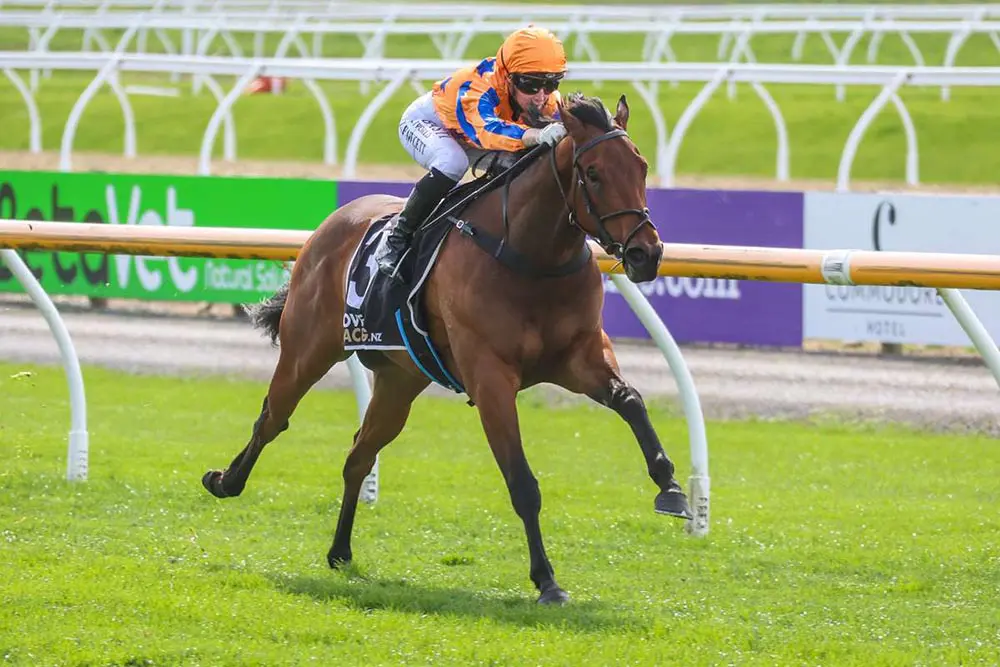 Out Of The Blue is owned by a large syndicate