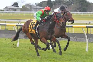 Rosetown Princess will contest the Russell & Yvonne Green Memorial (2000m) at Matamata on Saturday. Photo: Race Images
