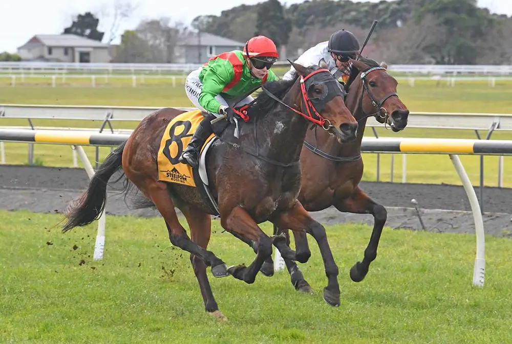 Rosetown Princess will contest the Russell & Yvonne Green Memorial (2000m) at Matamata on Saturday.
Photo: Race Images