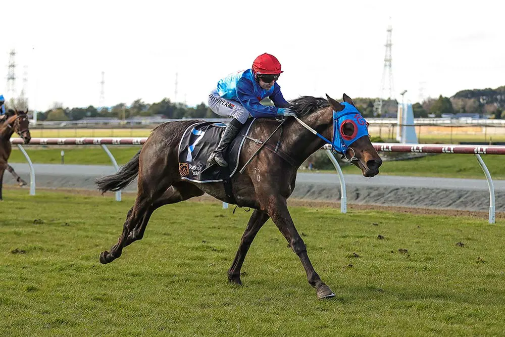 Stolen Magic winning at Ascot Park on Friday.