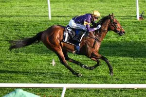 War Machine wins the Gilgai Stakes