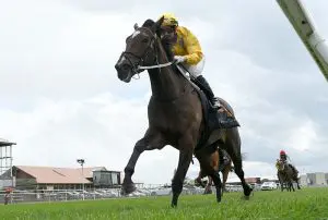 War Princess wins at Hawera