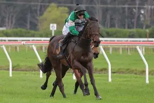 Who Knows winning the Weir Tours Egmont Cup (2100m) at Hawera on Saturday. Photo: Jane Davidson (Race Images Palmerston North)