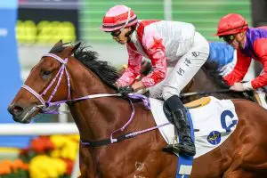 Vincent Ho is back in the saddle