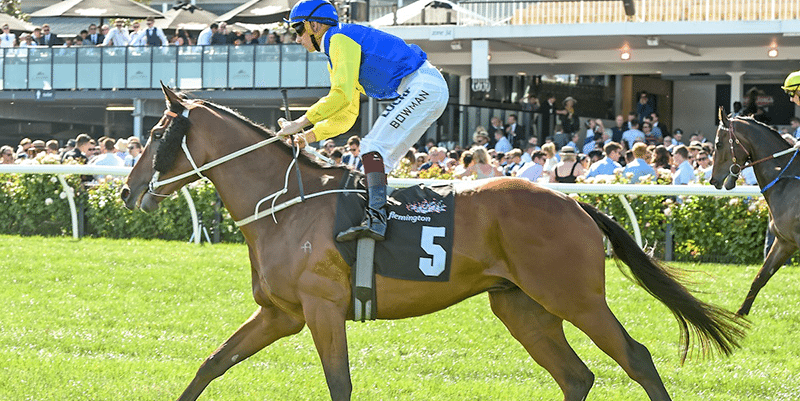 Le Romain wins the cantala stakes