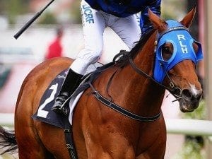 Buffering pleases in course proper gallop